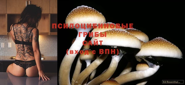 тгк Абаза