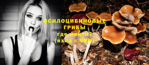 тгк Абаза