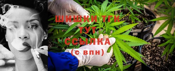 тгк Абаза