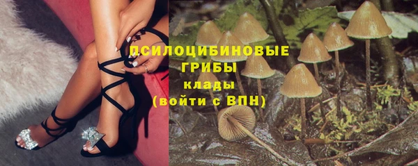 тгк Абаза