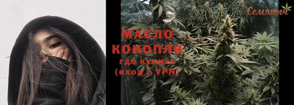 тгк Абаза